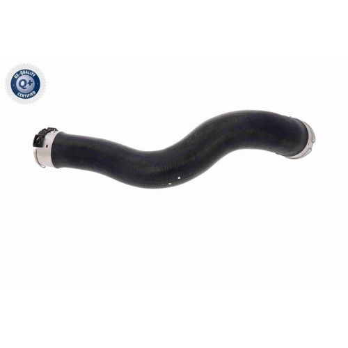VAICO Ladeluftschlauch Q+, Erstausrüsterqualität V30-4444