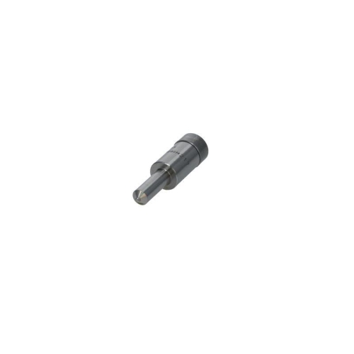 BOSCH Einspritzd&uuml;se H 105 019 255