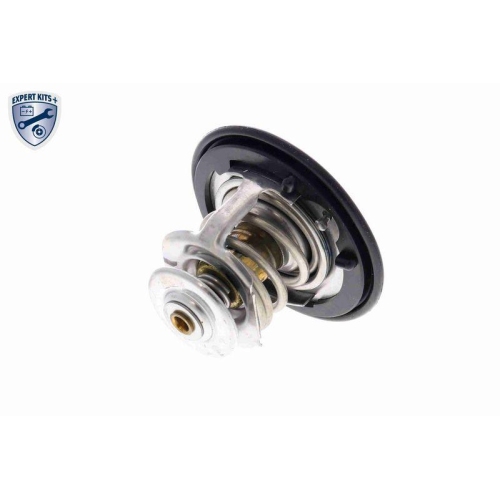 ACKOJA Thermostat, K&uuml;hlmittel EXPERT KITS + A26-99-0007