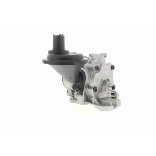 VAICO &Ouml;lpumpe Original VAICO Qualit&auml;t V10-8003