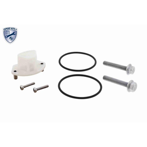 VAICO Teilesatz, Lamellenkupplungs-&Ouml;lwechsel (Differentialsperre) EXPERT KITS + V10-000270-XXL