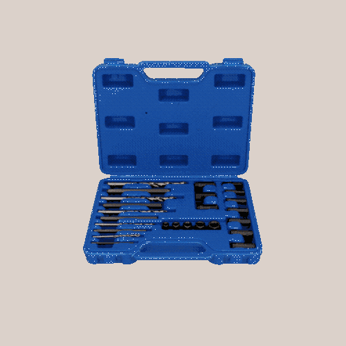 HSS Schraubenausdreher-Satz, 25-tlg BRILLIANT TOOLS BT541900