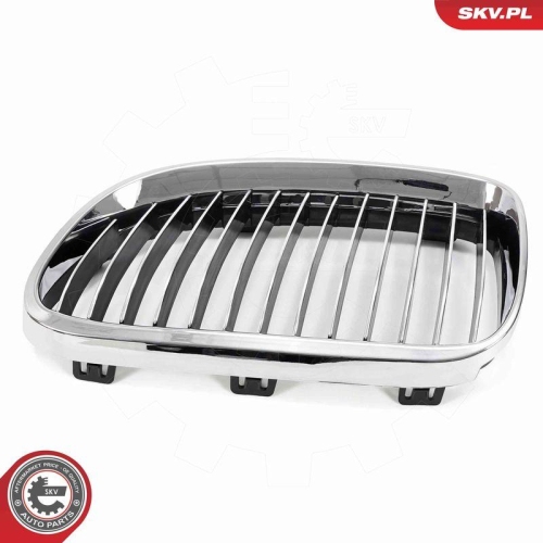 ESEN SKV Kühlergitter