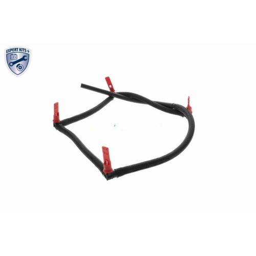 VAICO Schlauch, Leckkraftstoff EXPERT KITS + V22-0809