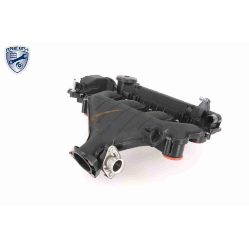 VAICO Zylinderkopfhaube EXPERT KITS + V42-1046