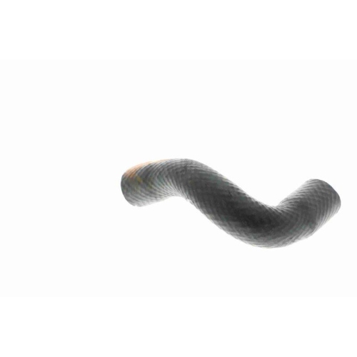 VAICO Kühlerschlauch Original VAICO Qualität V20-1650