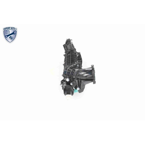 VAICO Saugrohrmodul EXPERT KITS + V20-4954
