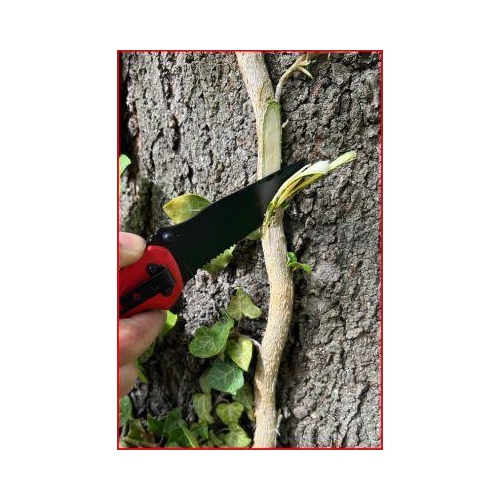 Klappmesser mit Arretierung und Gurtschneider KS TOOLS 907.2220