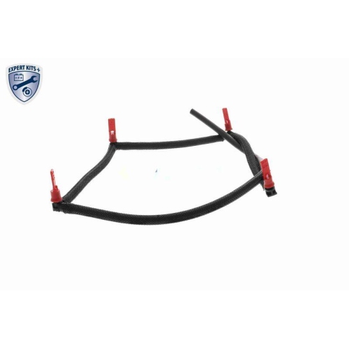 VAICO Schlauch, Leckkraftstoff EXPERT KITS + V22-0809