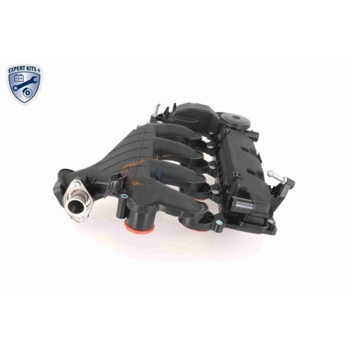 VAICO Zylinderkopfhaube EXPERT KITS + V42-1046