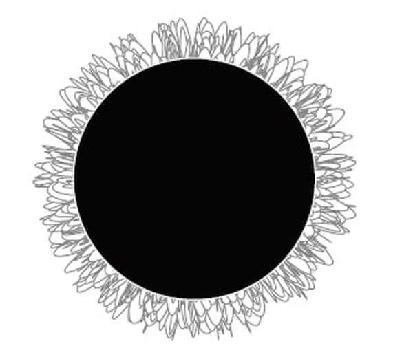 ROOKS Polierkissen mit Klettverschluss Wolle, 75 mm, AQ-12 OK-03.4071