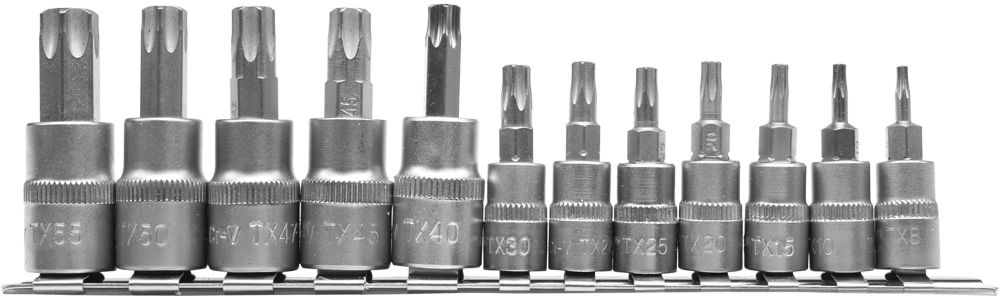BITEINSATZ SATZ BITSORTIMENT SET 12-teilig TORX T8- T55 1/4 + 3/8 Zoll YT-04331