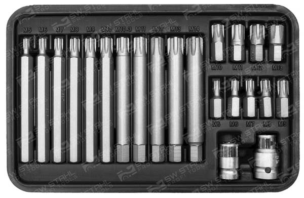 Bit-Sortiment, 3/8 Zoll, RB-Profil, 5-14, 22-teilig, 04425L SW-Stahl