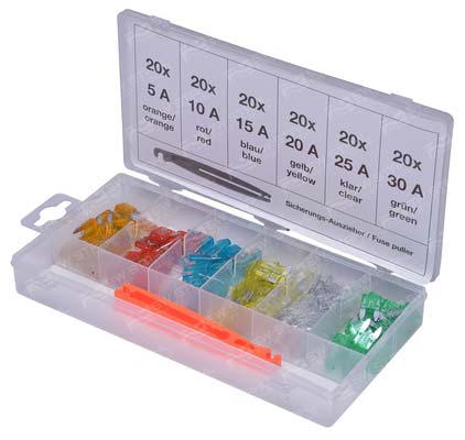 Sicherungs-Sortiment, 121-teilig - Je 20 St&uuml;ck Mini FK1, S8115 SW-Stahl